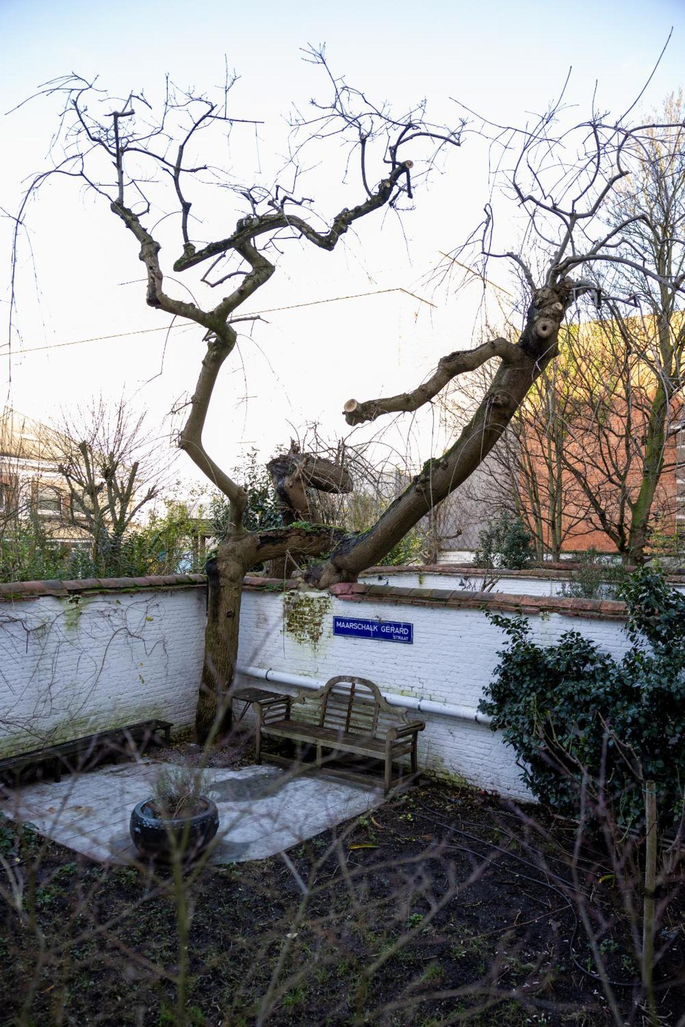 Guest house Heaven In Antwerp